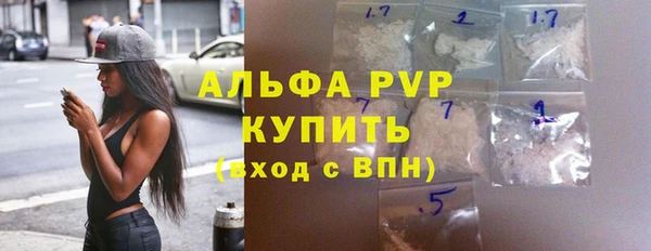 гашик Белокуриха