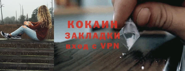 гашик Белокуриха