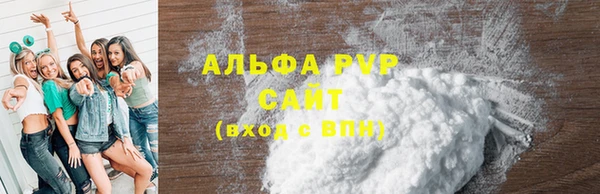 гашик Белокуриха