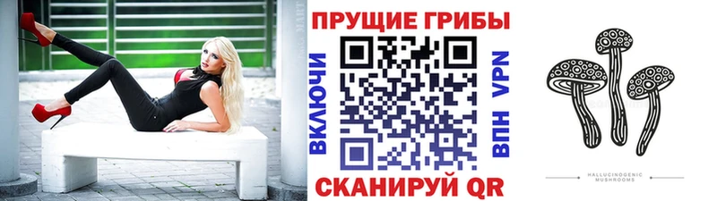 Псилоцибиновые грибы прущие грибы  Владивосток 